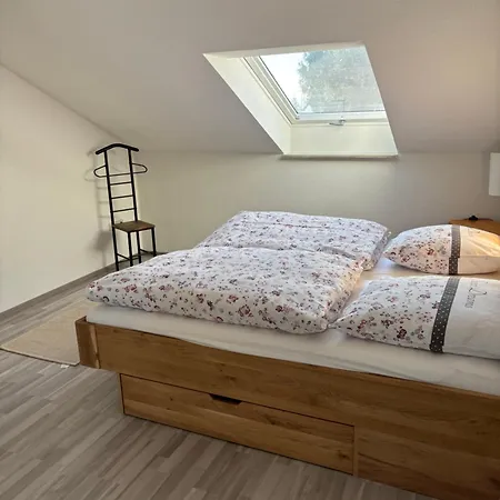 Forest E&l Apartment Waldshut-Tiengen