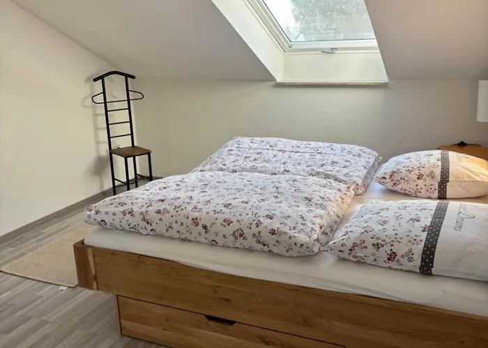 Forest E&l Apartment Waldshut-Tiengen